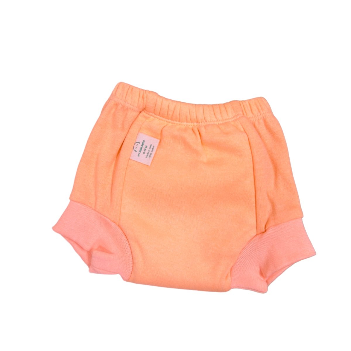 Tortoise - Potty Pro