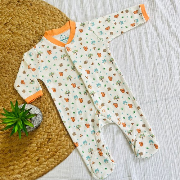 A Squirrel - Sleep Suit(3-6)