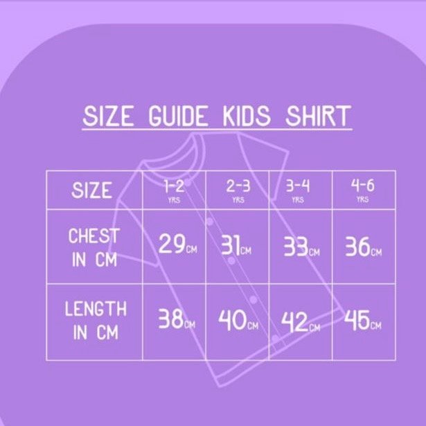 A Ethnic Shirt-Flamingo Kota cotton