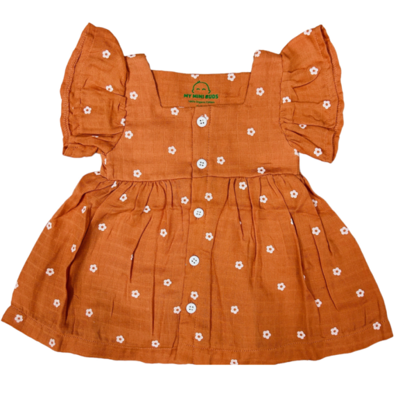 Apricot-Adorable Aria Frock
