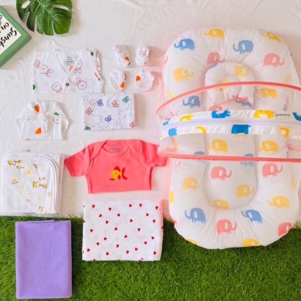A New Born Arrival Kit - Net Bed