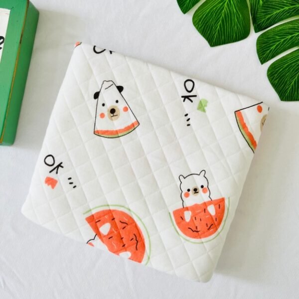 A watermelon Slice-2 layer Blanket 85*85cm